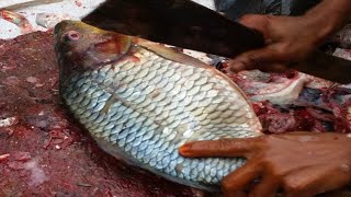 Fastest Rohu Fish Cutting 2020-Big Fish Clean And Fillet Videos-Amazing Cutting Fish