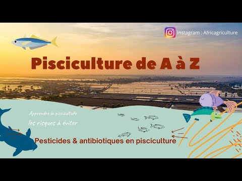 Vidéo: Que fait un pisciculteur ?