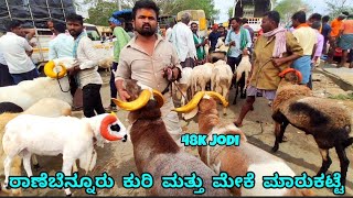 Ranebennur sheep and bull market update | Every Sunday morning bazar Karnataka India