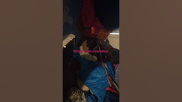 whole brain emulation