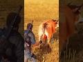 I gave Jetpack to Cow so it will see the world