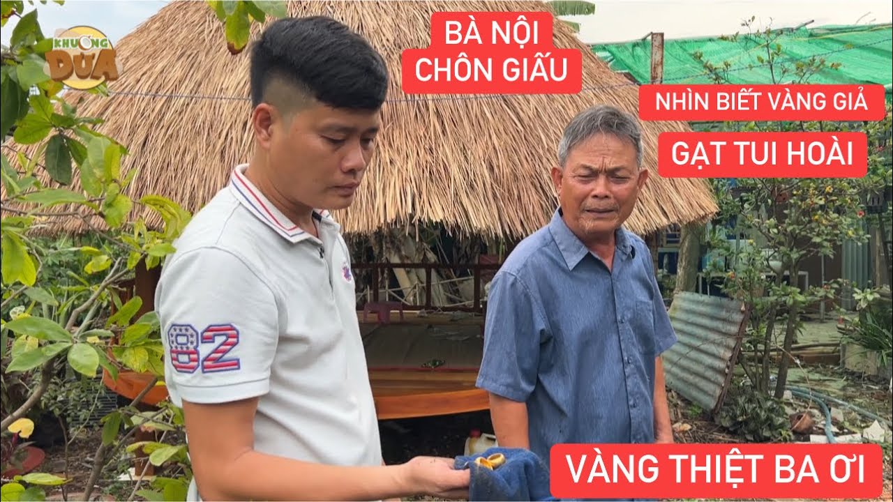 Khương Dừa đào trúng hủ vàng của bà nội vợ chôn, ba vợ không tin nên hối hận