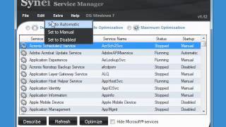 How to use Synei Service Manager screenshot 1