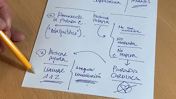 ¿Cuáles son los 3 tipos de soporte vital?