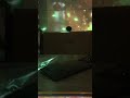 前田亘輝ソロ Christmas for you