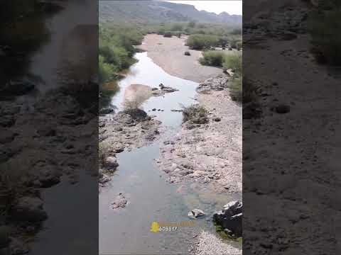 ربيع ونجول وادي المقيطع بمحافظة وادي الفرع ٢٠٢٣