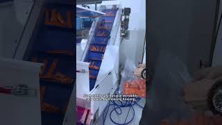 Sealing ring counting &amp;packaging machine #machine #blisterpackagingmachine #factory #ccd