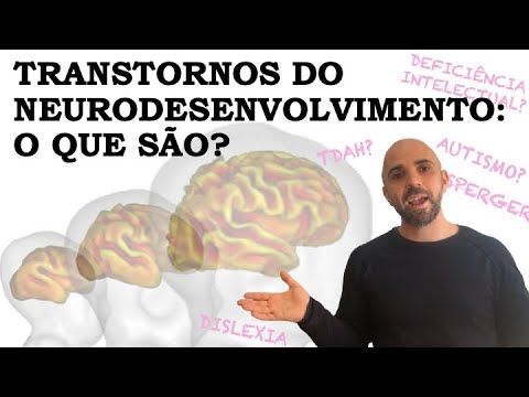 TRANSTORNOS DO NEURODESENVOLVIMENTO: O QUE SÃO?