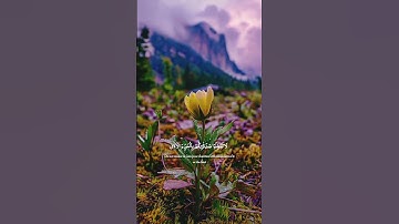تلاوه جميـ♡♡ـله ل🎧☘️❣️ القارئ عبد الرحمن مسعد.... #راحه_نفسيه #قران_كريم#قرآن #quran_alkarim #مختصر