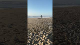 Celebrity Pomponio State Beach🧡#beach#oceano#wave#nature#surfer#sky#california##usa#reel#reelsvideo#vlogmusic Profile