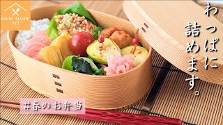 ぶぶあられの使い方レシピ！曲げわっぱの鮭フライ弁当詰め方コツありHow to make Japanese lunch box