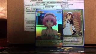 Motto To Love Ru sleeve Momo vol.195 bushiroad sleeve collection