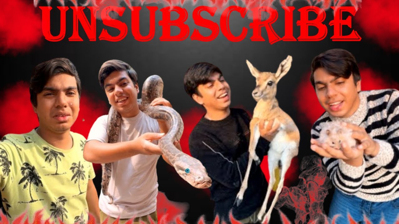 SW Pet House Unsubscribe Top 5 Pakistani Youtubers vlog pets sw-pet-house-unsubscribe-top-5-pakistani-youtubers-vlog-pets