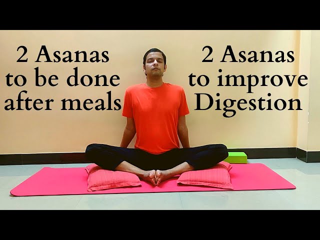 6 Yoga Poses for Better Digestion | Adwait Yoga School: International  Holistic Institute