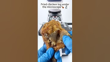 Fried chicken A Hidden World Under the Microscope – Bacteria Close-Up #science #microscope #biology