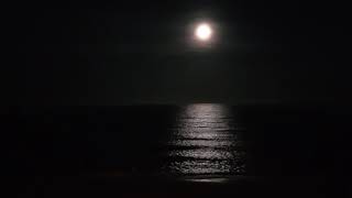 Noaptea la malul marii in luna Februarie!