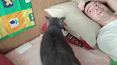 Дима и Лена Жизнь в ЛНР