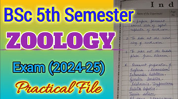BSc 5th Semester Zoology Practical File Exam (2024-25) | For All University