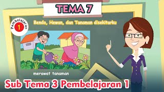 Tematik Kelas 1 SD Tema 7 Subtema 3 Pembelajaran 1 - Tanaman Disekitarku