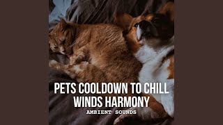 Cooldown Breeze with Harmonic Harmony