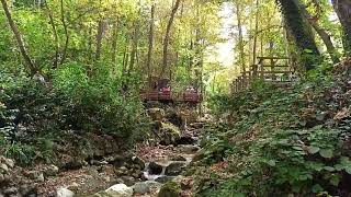 Maşukiyede Aşık Maşuk Hikayesi