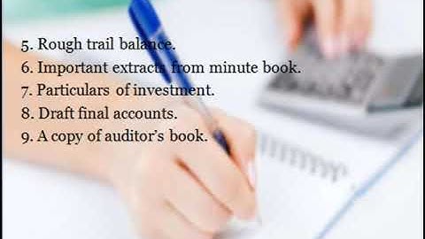 Audit working papers