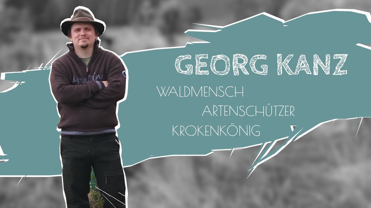 Der Krokenkönig aus Kärnten: Wie ein Waldbesitzer die Artenvielfalt fördert