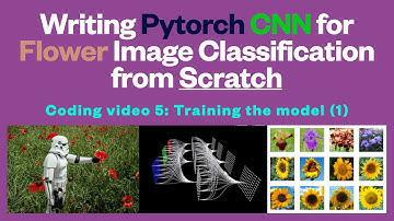 Video6 of CNN classifier for flower images classification: Writing the training loop in Pytorch!
