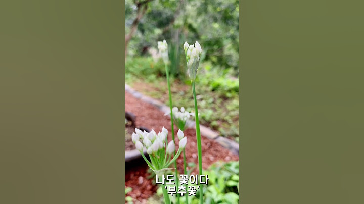 나도 꽃이다 시리즈 ‘부추꽃’