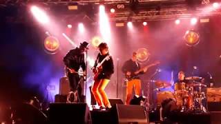 EELS - Flyswatter ( Magnolia - Segrate Milano - Italy = 02 September 2019 )