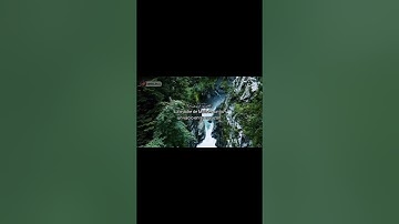 سورة القصص🥰