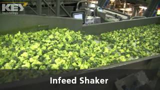 Frozen Broccoli on Spyder 1200
