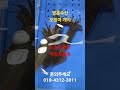 영흥수산 오징어회 개시 #활오징어회 #가락몰수산시장 #맛집 #영흥수산