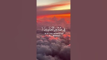 ما تيسر من سورة العنكبوت | القرآن الكريم | القارئ عبد الرحمان مسعد