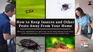 Natural Methods to Keep Insects out of Home | Effective Ways to Get Rid of All Insects at Home