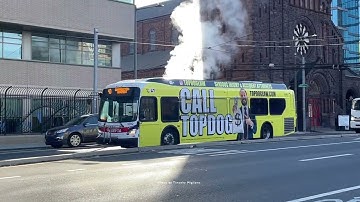 Buses in Philadelphia, USA 2025