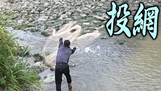 投網で獲った生餌でサメ狙い！[国場川のサメ退治 後編]