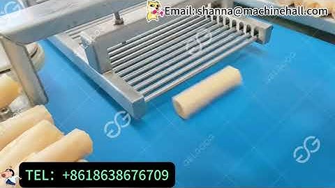 Super Powerful Automatic Spring Roll Machine, Rolling Process！
