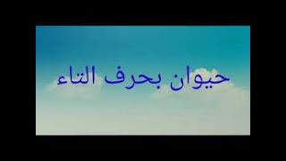 حيوان بحرف ت | اسم حيوان يبدأ بحرف  ت