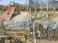 江東区毛利の大きな公園 - 猿江恩賜公園