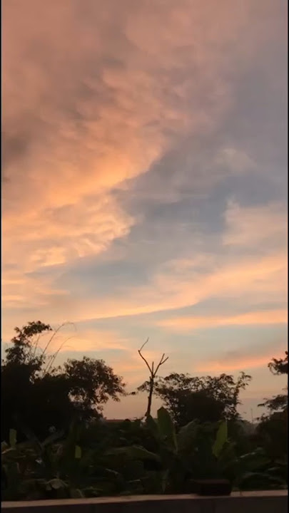 temukan 5 perbedaan#memes #funnyshorts #funnyvideo #shorts #tebakgambar