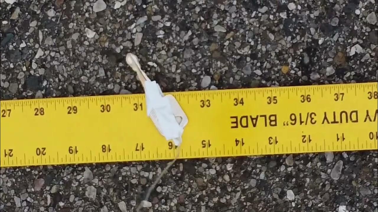 First Plumb Bob test YouTube