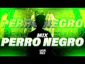 Mix perro negro  top 2023 ferxxo bad bunny karol g quevedo bad gyal etc