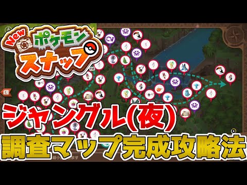 New ポケモンスナップ ジャングル 夜 の調査マップ完成攻略法を解説します Youtube New ポケモンスナップ ジャングル 夜 の調査マップ完成攻略法を解説します Youtube