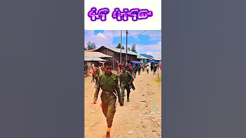 ምርጥ የፋኖ ሙዚቃ Best Fano Music 