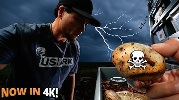 Should YOU try "Maternal Incubation"??  Here