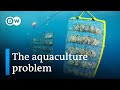 Sustainable Fish Farming Quiz