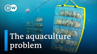 Can we farm the ocean without destroying it?