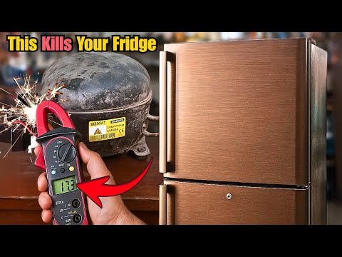 Dead Fridge Brought