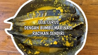 CARA GORENG LELE BIAR LURUS, TIDAK MELETUP DAN TIDAK LENGKET BESERTA BUMBU MARINASI IKAN LELE